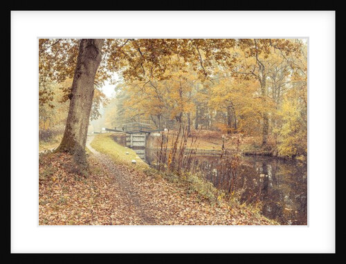 Canal through forest by Assaf Frank